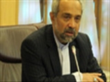 نهاوندیان:<br />دولت به تنهایی نمی تواند با فساد مقابله کند
