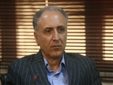 اهمیت برندسازی در تولید فرش دستباف/ دولت موانع صادرات فرش را برطرف کند