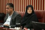 بیست و یکمین جلسه هیئت نمایندگان