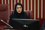 هیات نمایندگان 27
