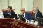 هیات نمایندگان 29
