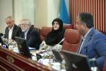 هیات نمایندگان 29