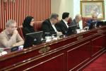 هیات نمایندگان 29